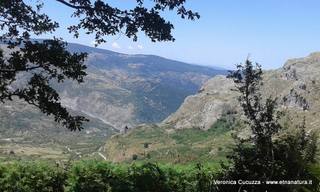 cche del Crasto-04-07-2016 19-25-07